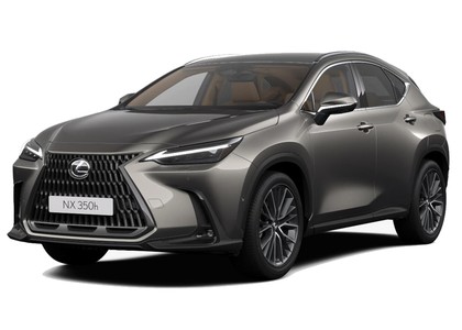 Ворсовые коврики на Lexus NX II 2021 - 2025 в Иркутске
