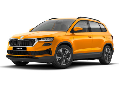 Коврики на Skoda Karoq 2017 - 2025 в Иркутске