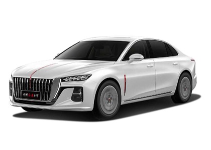 Коврики на Hongqi H5 II 2022 - 2025 в Иркутске