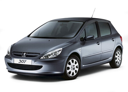 Коврики на Peugeot 307 2001 - 2008 в Иркутске