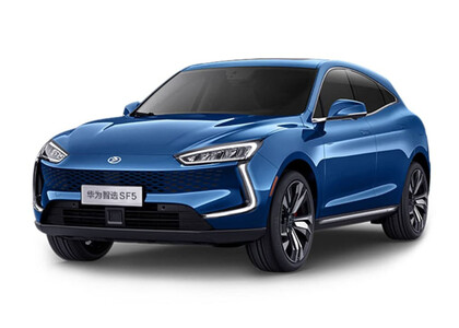 EVA коврики на Seres SF5 2019&nbsp;-&nbsp;2022 в Иркутске