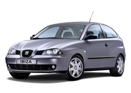 Ворсовые коврики на Seat Ibiza III 2001 - 2008 в Иркутске