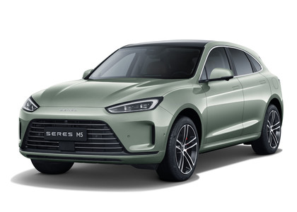 Коврики на Seres M5 2021 - 2025 в Иркутске