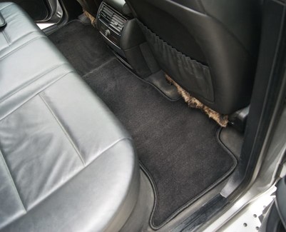Коврики на BMW X5 (E53) 1999 - 2006 в Иркутске