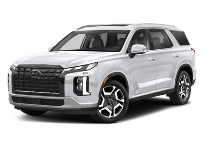 Ворсовые коврики на Hyundai Palisade 2018 - 2025 в Иркутске