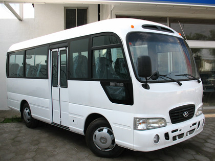 Коврики на Hyundai County 2006 - 2016 в Иркутске