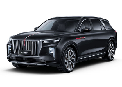 Коврики на Hongqi E-HS9 2022 - 2025 в Иркутске