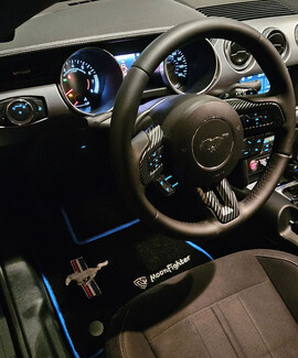 EVA коврики на Ford Mustang VI 2013 - 2023 в Иркутске EVA коврики на Ford Mustang VI 2013 - 2023 в Иркутске