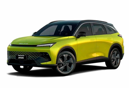 Коврики на Baic X55 2022 - 2025 в Иркутске