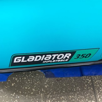 Коврики на Лодки Gladiator E350S  в Иркутске