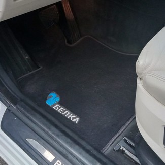 EVA коврики на BMW 5 Gran Turismo (F07) 2009 - 2016 в Иркутске
