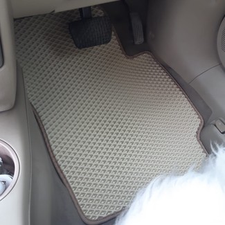 Коврики на Mazda Demio II (DY) 2002 - 2007 в Иркутске