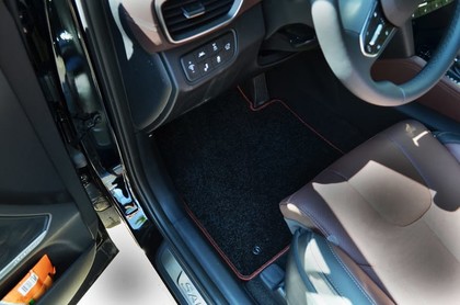 Коврики на Hyundai Santa Fe IV 2018 - 2021 в Иркутске